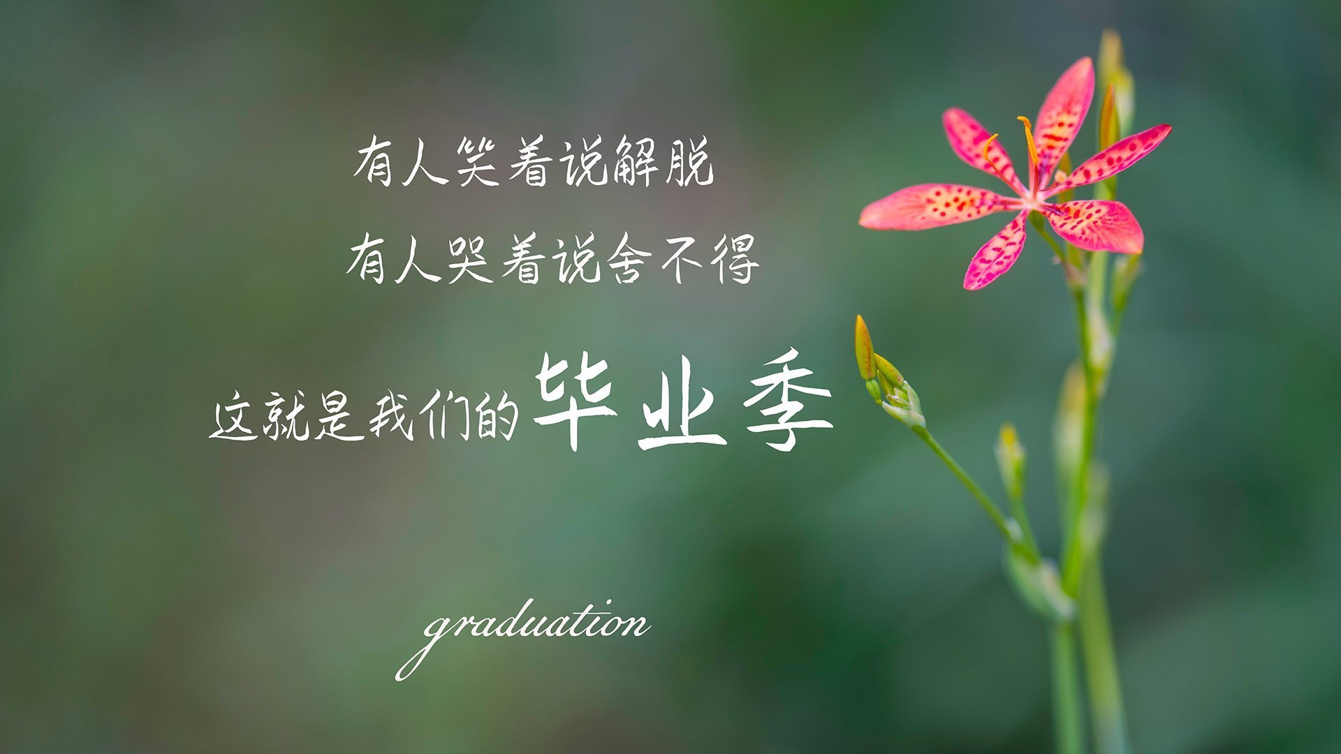 新一代冲刺冠军：青年运动员崭露头角
