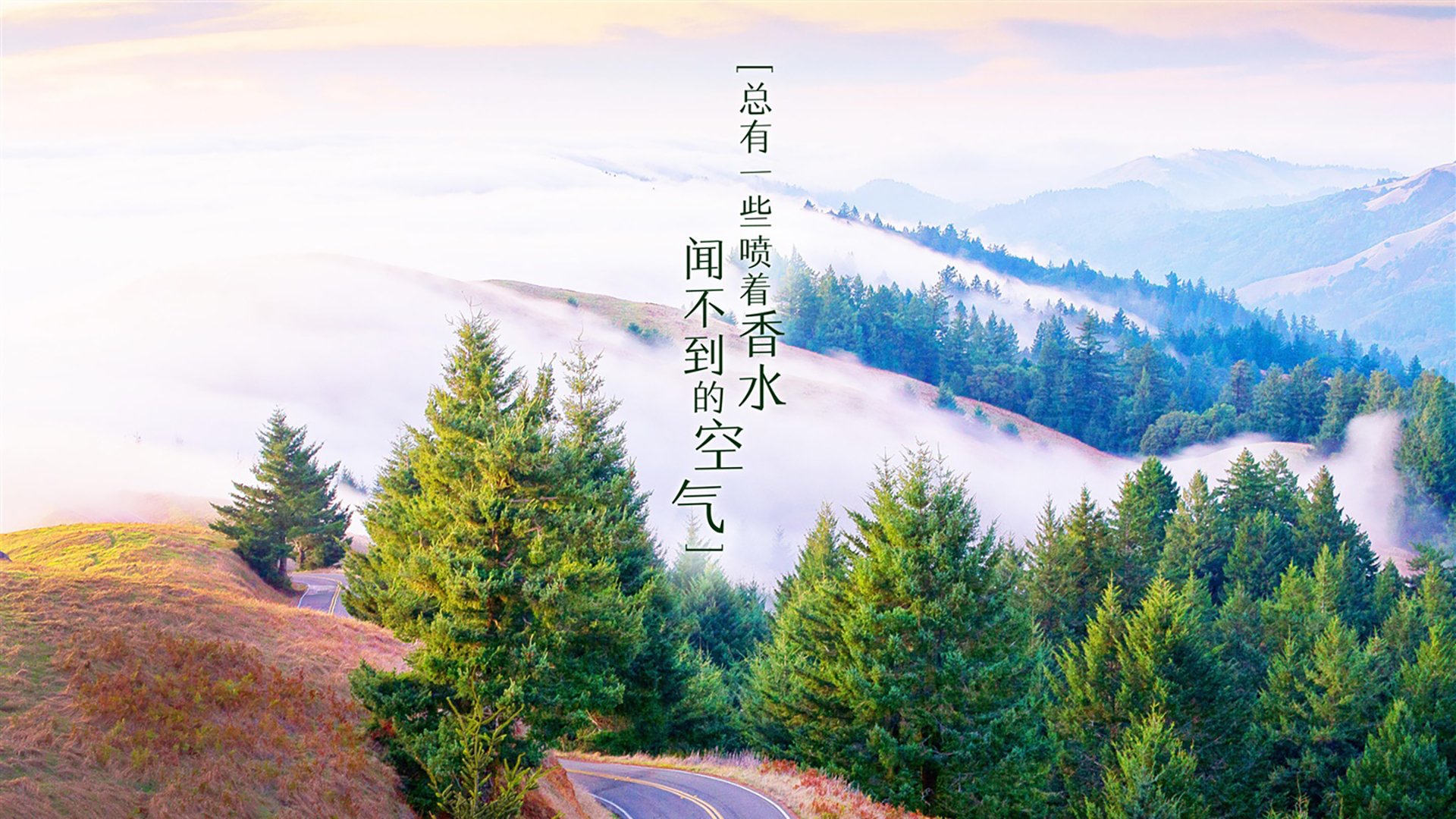 九游APP官网-雄鹿再次获胜，击败步行者保持领先地位，雄鹿大胜步行者