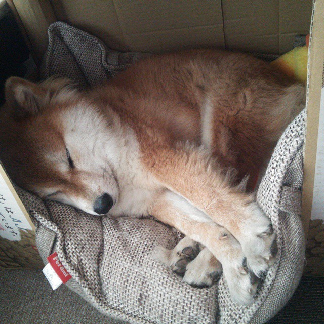 中路控球突破能力是否已成战术体系不可或缺因素,中场控球视频