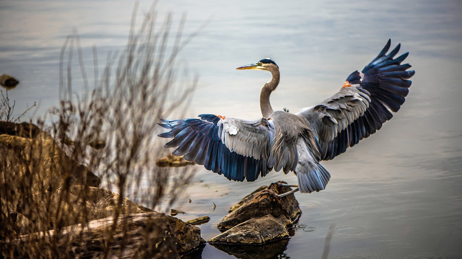 九游游戏中心-五大联赛替补登场时间分配如何保障体能与表现平衡，五大联赛还剩几轮