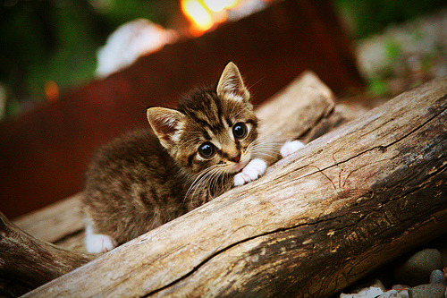 巴黎圣日耳曼三线齐发全面压制对手，巴黎圣日耳曼3_1