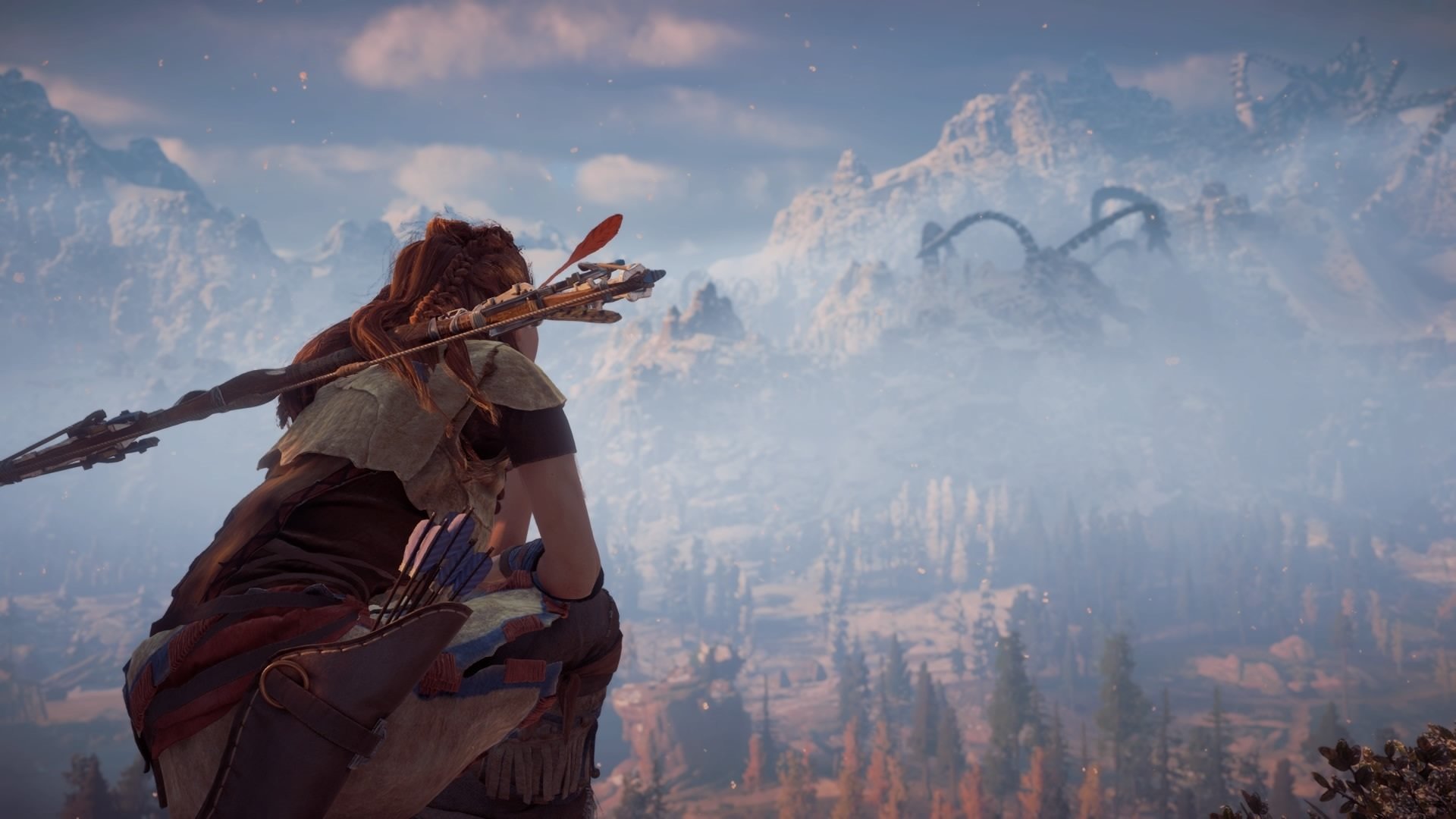 “美洲狮队:阿根廷橄榄球的崭新篇章”