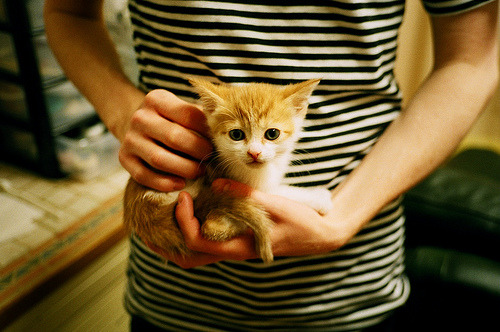 JiuyouAPP下载-世界杯荣耀时刻：永远留在记忆里！，永久保留世界杯奖杯