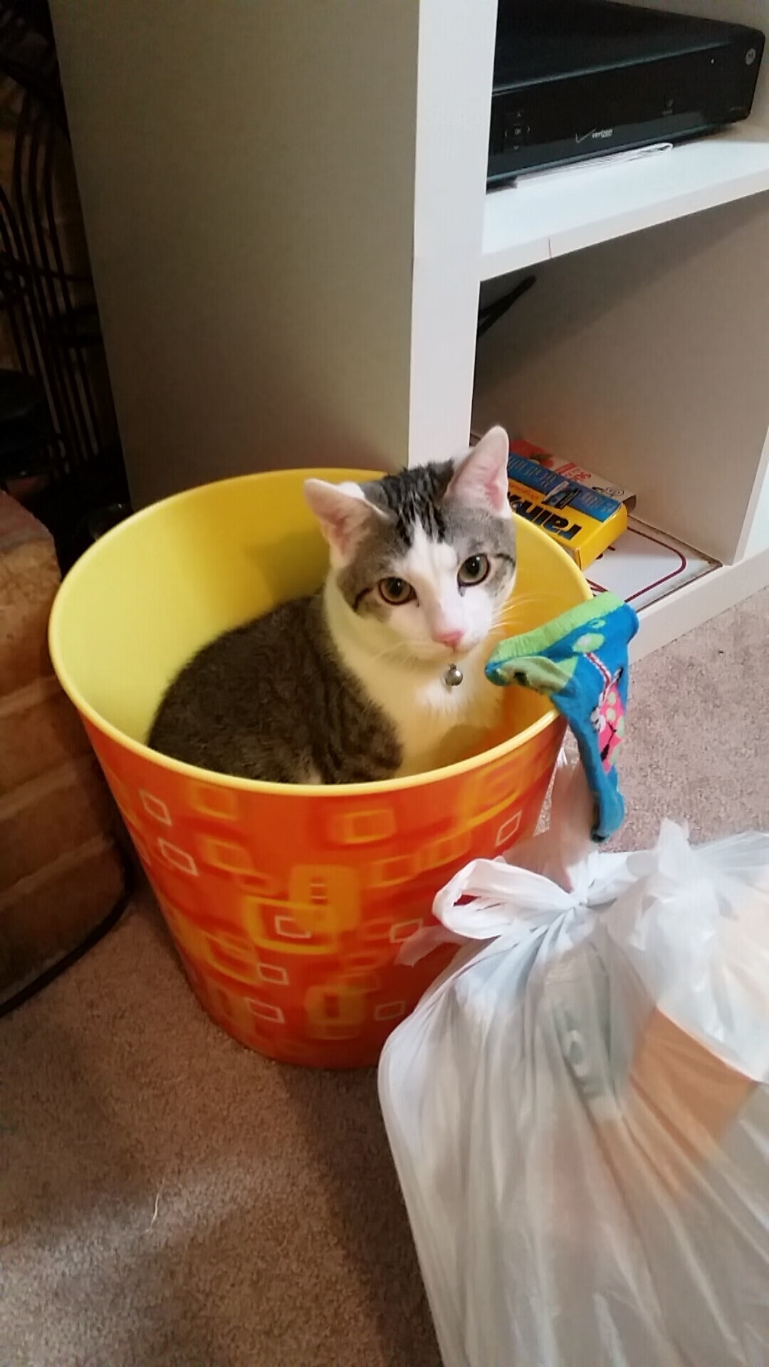 法国新星崭露头角，未来潜力巨大